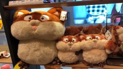 -痘庄科学祛痘国际连锁机构