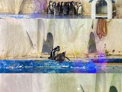 -太平洋海底世界