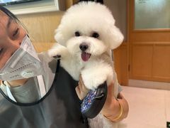 -帕帕拉兹宠物(亚洲旗舰店)