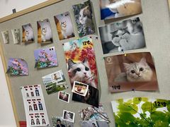 -柯达靓之彩影像网络(明瓦廊店)