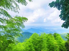 -莫干山风景区