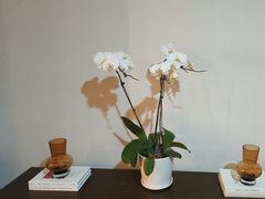 -明湖楼·经典鲁菜山东海鲜(大明湖店)