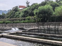 -天源渔港农庄