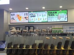 -雾与山茶(大禹城店)