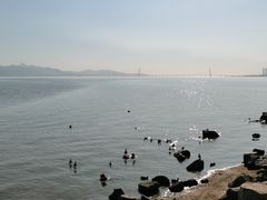 -深圳湾公园(南山区)