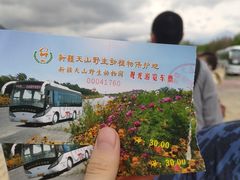 -新疆天山野生动物园