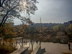 -工业第一家麻辣烫(奖工街店)