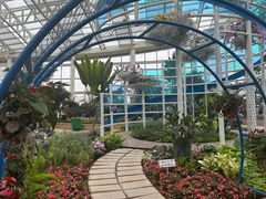-石家庄市植物园
