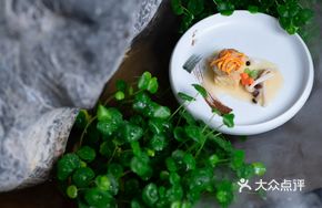 Rare Mushroom Health Nourishing Handmade Tofu