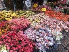 -循礼门鲜花花市(武汉循礼门店)