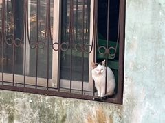-合肥野生动物园