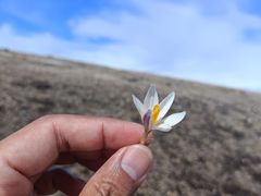 -新疆那拉提国家旅游度假区