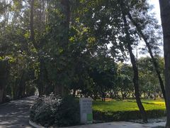 -南宁南湖公园