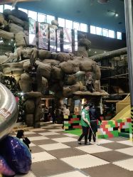 -卡通尼·Safari非洲探索乐园·生日会(金桥国际商业广场店)