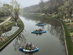-上海鲜花港