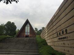 -美丽洲堂
