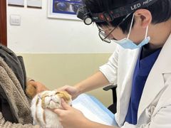 -美联众合动物医院·24h转诊中心