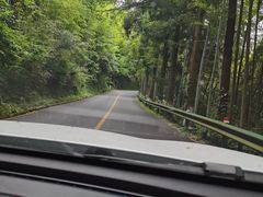 -莫干山风景区