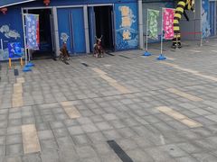 -青岛嘉年华主题乐园
