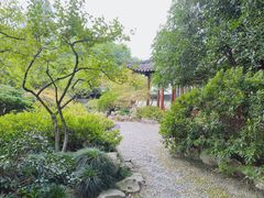 -郭庄茶室