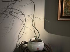 -西安电影制片厂