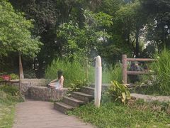 -成都市活水公园