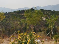 -白水寺森林公园