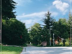 -五营红松林海景区