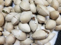 -森味薪火烧•烧鸟居酒屋•日本料理(望京店)