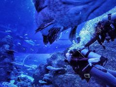 -成都浩海立方海洋公园