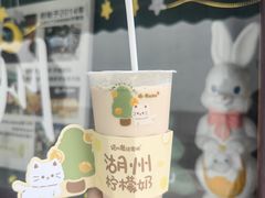 -猫的魔法密林(衣裳街店)