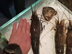 -Ministry of Crab(科伦坡店)