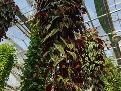 -常州花鸟园酒店(西太湖品牌优选店)