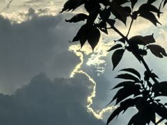 -兵立王鲜果茶·奶茶(城市奥莱店)