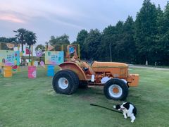 -太阳岛度假酒店