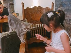 -猫色咖啡·猫咖