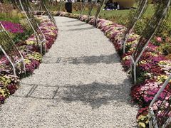 -东平国家森林公园