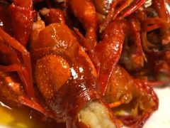 -堕落小龙虾(兰州旗舰店)