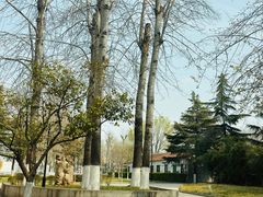 -山东大学(洪家楼校区)