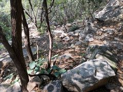 -北京密云天门山风景区