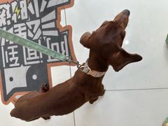 -纳吉亚猫专科动物医院博雅分院