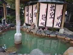 -张家港金凤凰度假村温泉