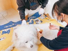 -美联众合动物医院·24h京西诊疗中心