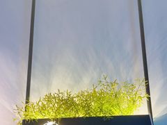 -华夏良子·足道SPA艾灸(铁道大厦店)