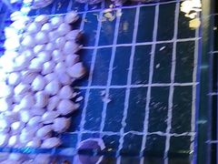 -丽伟的串·烧烤·砂锅(芝麻街店)