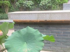 -花锦堂·隐庐