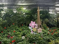 -南宫五洲植物乐园