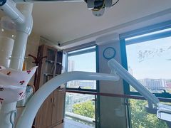 -杭州口腔医院(城西院区)