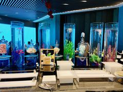 -涛·海底餐厅·美人鱼·自助餐·海底隧道(三亚海棠湾洲际度假酒店)