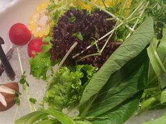 -百草滩羊清水涮羊肉·清真·宁夏盐池滩羊(莲花桥店)